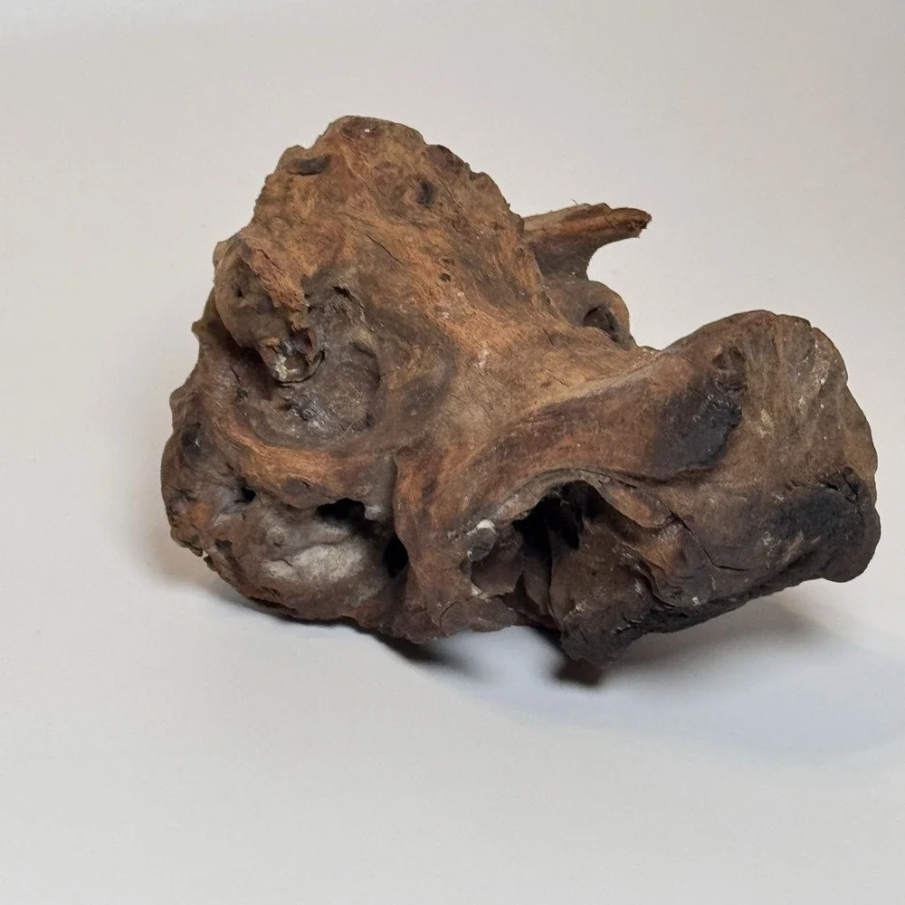 Natural Driftwood Root Sculpture Aquarium Aquascape Terrarium Wood 9.5